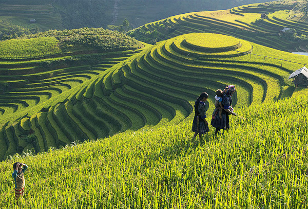 Sapa ruộng bậc thang