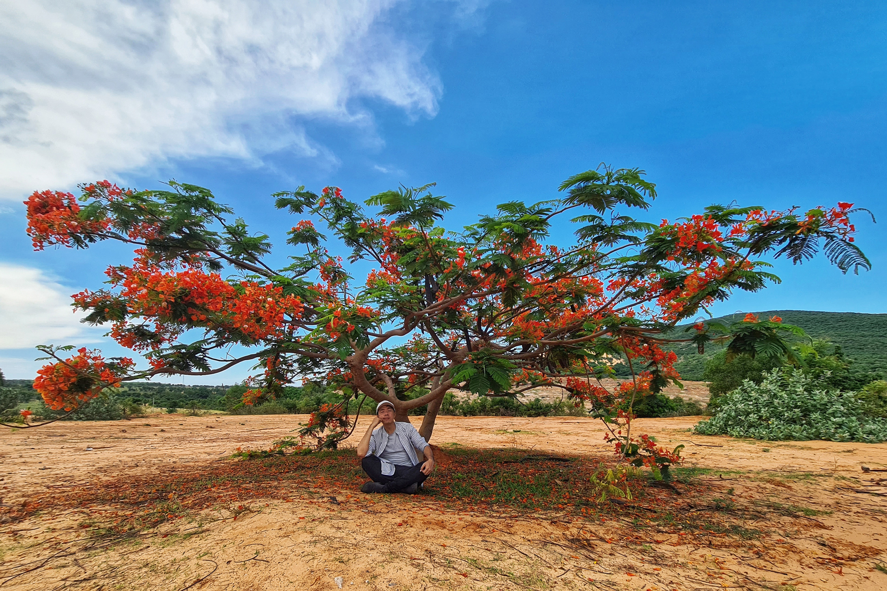 Bạn không thể không đến Phan Thiết khi nhìn thấy những bức ảnh này