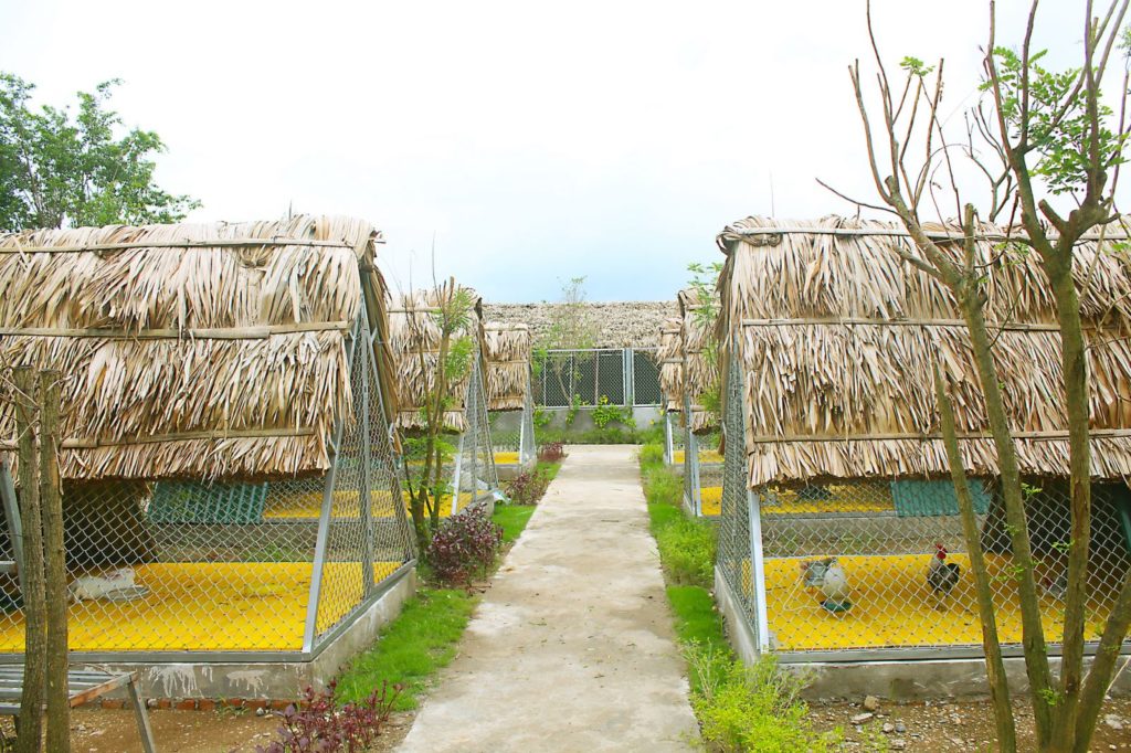 FLC Eco Farm