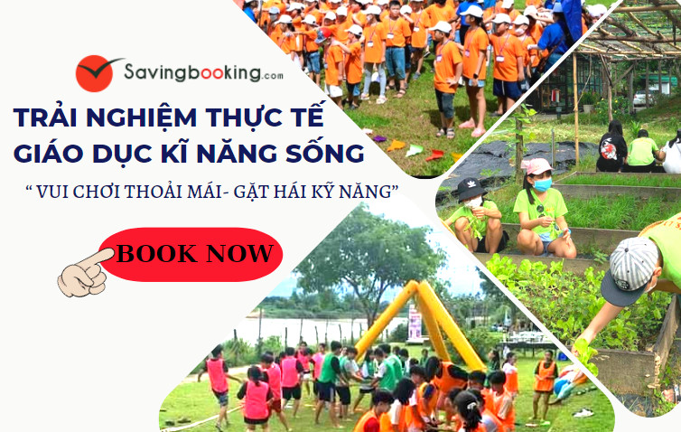 Tour Trải Nghiệm Thực Tế - Giáo Dục Kỹ Năng Sống | Savingbooking.com