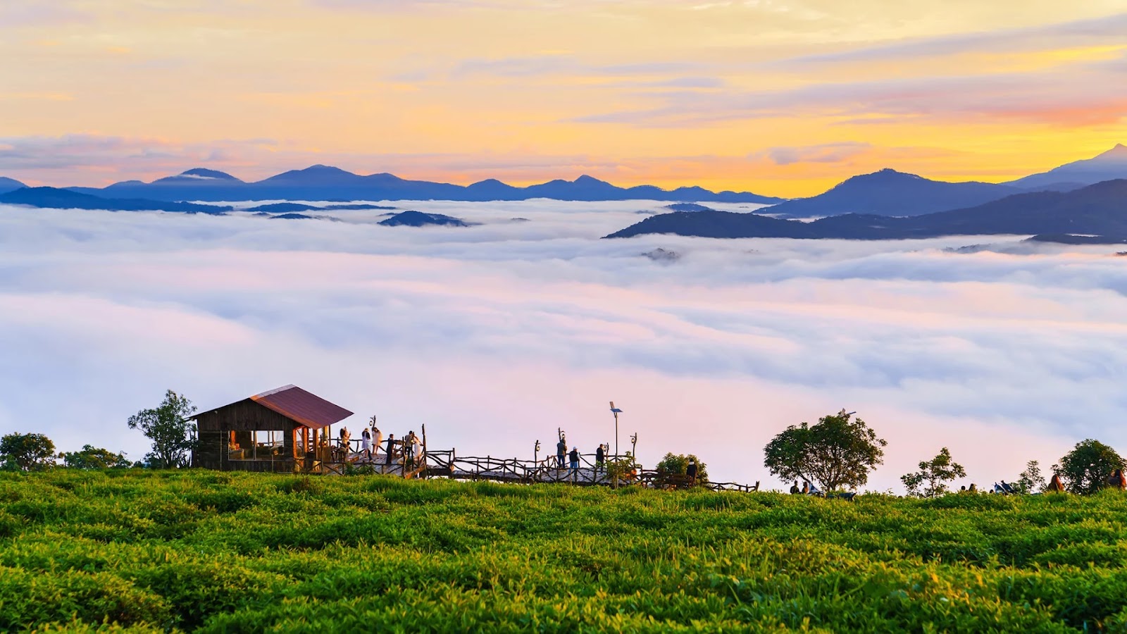 Săn mây Đà Lạt ở đâu đẹp