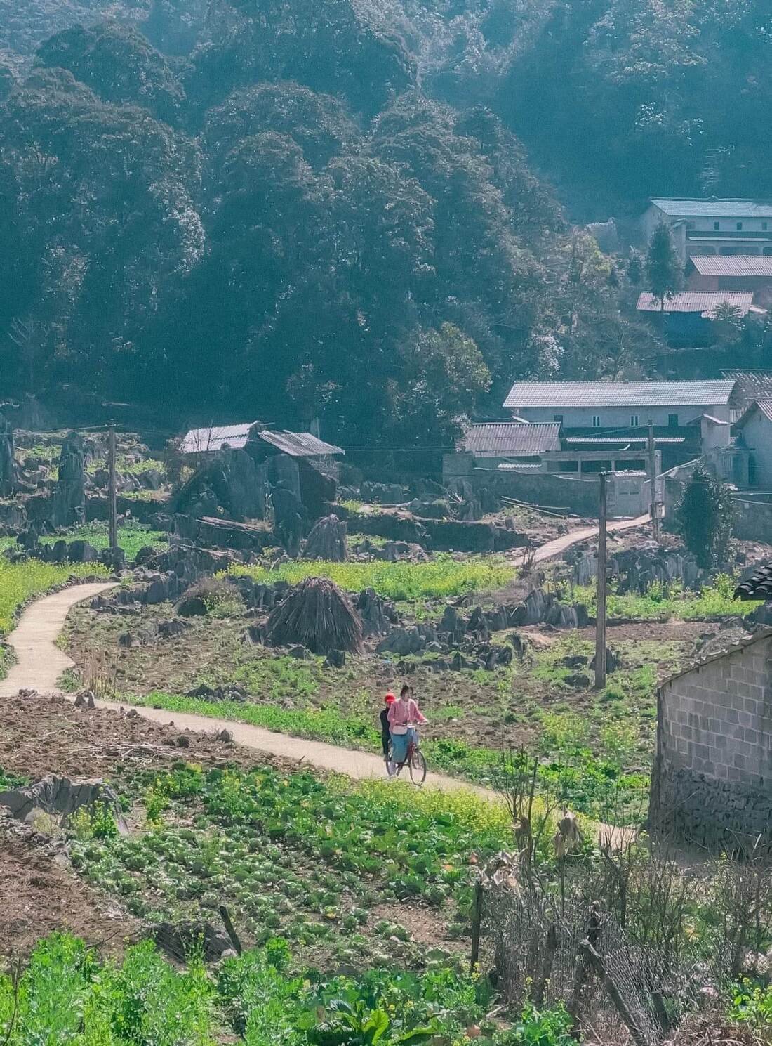 Du lịch Hà Giang tháng 2 có gì đặc sắc